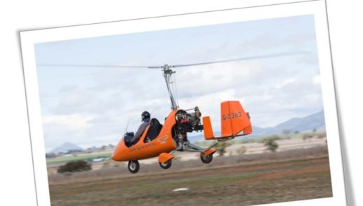 thumbnail of MASNL339Octobereditedsm