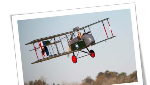 thumbnail of MASNL369October2014